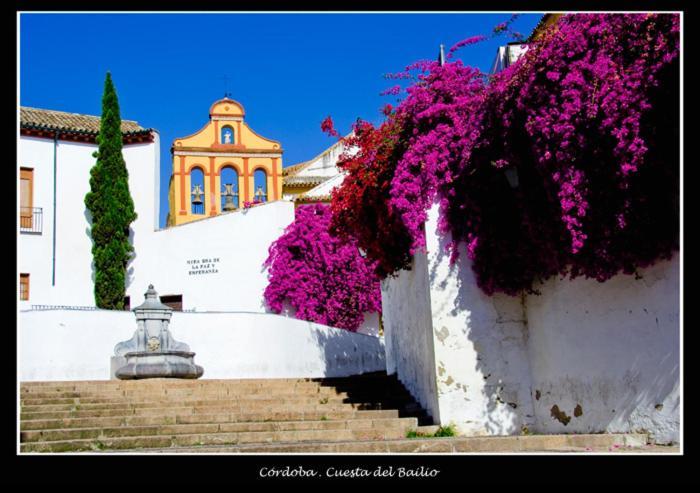 Centro Historico Cristo De Los Faroles La Preferida Кордоба Екстериор снимка